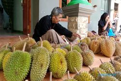 Musim Durian Sudah Tiba, Ini Durian Terenak di Indonesia