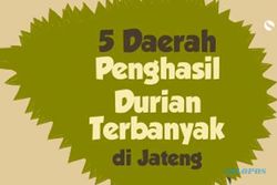 5 Daerah Penghasil Durian Terbanyak di Jawa Tengah