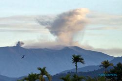 Gunung Marapi Sumbar Erupsi, Muntahkan Abu Vulkanik Setinggi 800 Meter