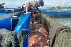 Daftar Produksi Ikan di Karamba Jaring Apung WGM Wonogiri 2016-2021
