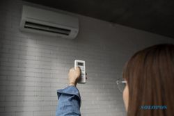 Jangan Salah, Ini Beda AC dengan Air Cooler