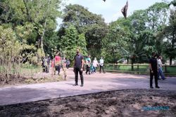 Diajak Wali Kota Gibran ke Solo Safari, Presiden Jokowi: Sudah Bagus