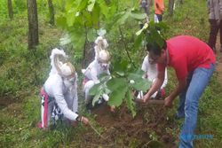 Cegah Serangan Kera, 1.000 Pohon Buah Ditanam di Hutan Jatipurno Wonogiri