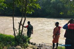 Pamit Panen Jagung, Warga Bringin Semarang Diduga Hanyut Terseret Arus Sungai