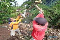 Sukarelawan dan BPBD Wonogiri Tangani Pohon Tumbang di Desa Singodutan