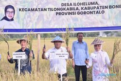 Pakai Pupuk Organik, Petani di Daerah Ini Raup Untung Dua Kali Lipat