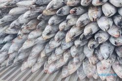 Mantap, 205 Ton Ikan Cakalang Diekspor ke Jepang