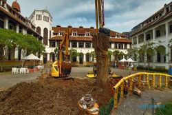 Tumbang saat Banjir, Pohon Talijiwo Lawang Sewu Ditanam Lagi