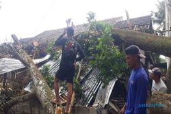 Keberatan, Dahan Penuh Durian Patah Timpa Rumah Warga di Ngargoyoso Karanganyar