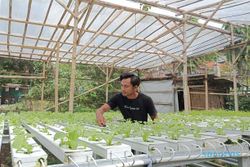 Prospek Menjanjikan, Masyarakat Solo Diajak Kembangkan Urban Farming
