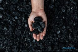 Penurunan Harga Batu Bara Acuan Berdampak Positif Bagi Industri Semen