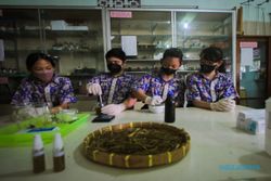 Siswa SMP Widya Wacana 1 Solo Ciptakan Bio Pestisida Ramah Lingkungan