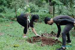 Kampanye Go Green, FTI UKSW Salatiga Tanam 200 Pohon Tabebuya