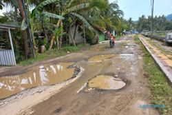 Waduh! Jalan Sekeliling Objek Wisata Rawa Jombor Klaten Rusak, Banyak Kubangan