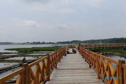 Belum Kelar Dibangun, Jembatan Kayu Waduk Cengklik Boyolali Sudah Jadi Viral