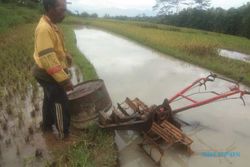 Ditinggal di Sawah, 2 Mesin Traktor Milik Petani Jatisrono Wonogiri Raib Dicuri
