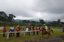 Serunya Lomba Pacuan Kuda Boyolali Cup 2023 di Cepogo, Joki Muda Unjuk Gigi