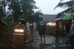 Puting Beliung Rusak Belasan Rumah dan Tumbangkan Pohon di Tambak Boyolali