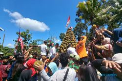 Cuma 10 Menit! Gunungan Durian di Desa Suluk Madiun Ludes Diserbu Pengunjung