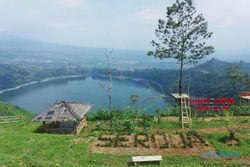 Bukit Cinta Lembah Seroja, Tempat Camping Pilihan di Wonosobo