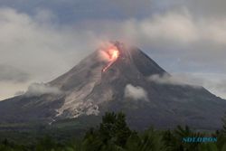 Penampakan Aktivitas Gunung Merapi Muntahkan Lava Pijar, Jarak Luncur 1,1 Km