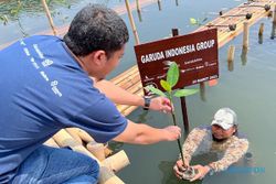 Garuda Gandeng Jejakin Kurangi Emisi Karbon, Tanam 3.000 Mangrove di Jakarta