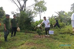 Konservasi Lahan Kritis, Puluhan Ribu Bibit Pohon Buah Ditanam di Lereng Lawu 