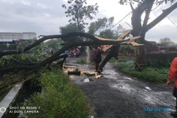 Angin Kencang Terjang Bantul, Sejumlah Rumah Rusak & 24 Pohon Tumbang
