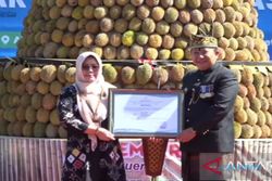 Jos! 2 Varietas Durian Lokal Jember Terdaftar di Kementerian Pertanian