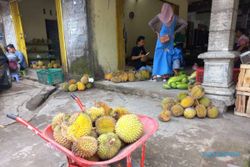 Panen Cuan di Musim Durian Klaten, Omzet Pedagang Bisa Tembus Rp80 Juta Sehari