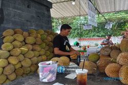 3.000 Buah Durian Ludes Terjual Setiap Kali Digelar Festival di Soloraya