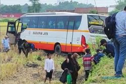Kronologi Bus Harapan Jaya Terperosok di Sawah Kediri, 1 Penumpang Terluka