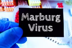 Kenali Virus Marburg yang Dapat Bertahan pada Tubuh Penyintas