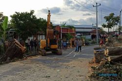 24 Jam Ditutup akibat Pohon Tumbang, Jalan Sambi-Simo Boyolali Kembali Normal