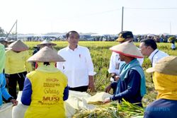 Kunjungi Ngawi, Presiden Jokowi Panen Raya Padi & Cek Harga Kebutuhan Pokok