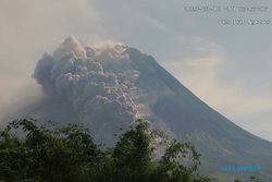Kondisi Terkini Gunung Merapi & Bahaya Awan Panas Wedhus Gembel Erupsi