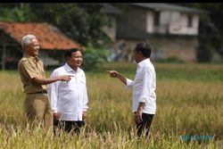 Survei LSN: Publik Yakin Jokowi Lebih Dukung Prabowo Dibandingkan Ganjar