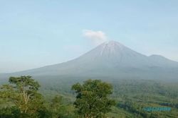 Pagi Ini, Gunung Semeru Erupsi Setinggi 600 Meter Mengarah ke Utara