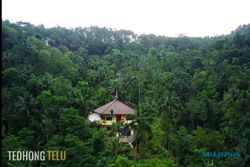 Menyusuri Dusun Plandi, Kampung Buddha di Daerah Terpencil Banyumas