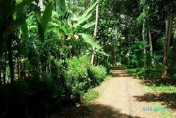 Mitos di Dusun Sibimo Batang, Hanya Ada 7 Rumah agar Terhindar dari Malapetaka