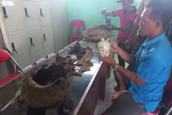 Setelah 32 Tahun, Artefak Kuno & Harta Karun Terus Ditemukan di Wonoboyo Klaten
