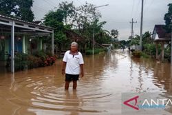 Banjir Setinggi 1 Meter Terjang Jember: Rendam 748 Rumah, 3 Masjid, & Sekolah