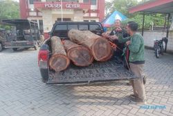 Pencurian Kayu Sonokeling Perhutani di Grobogan Marak, Polisi Ringkus 2 Pelaku