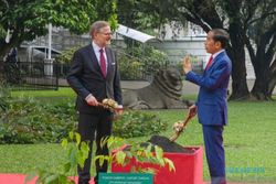 Presiden Jokowi Ajak PM Ceko Tanam Pohon Kamper di Istana Bogor