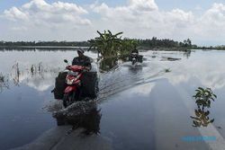 Ribuan Hektare Lahan Kawasan Lumbung Padi di Ciamis Terendam Banjir