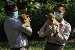 Seru & Edukatif, Ini Rekomendasi Tempat Wisata Kebun Binatang di Jawa Timur