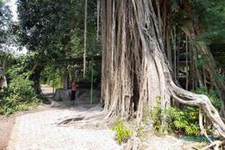 Menjelajahi Gebang Sragen, Desa yang Punya Budaya Kawak dan Gua Mangkubumi