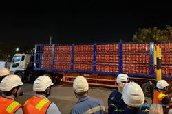 Kali Pertama, Indonesia Berhasil Ekspor 41 Ton Ayam Hidup ke Singapura