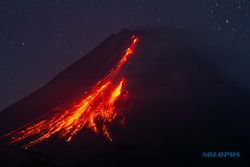 Gunung Merapi Kembali Keluarkan Guguran Lava Pijar, Jarak Luncur 1,8 Km