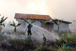 Ratusan Hektare Lahan di Dumai Riau Terbakar, Api Menjalar ke Permukiman Warga